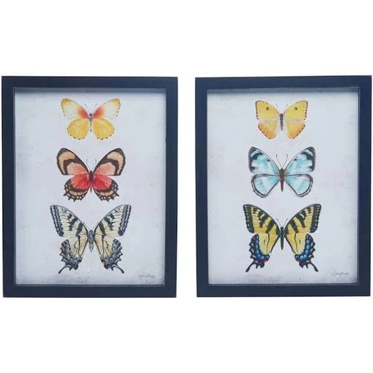 transpac-mdf-framed-botanical-butterfly-print-set-of-2-assortment-1