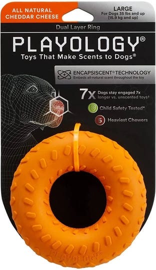 playology-large-all-natural-cheddar-cheese-scented-dual-layer-ring-1