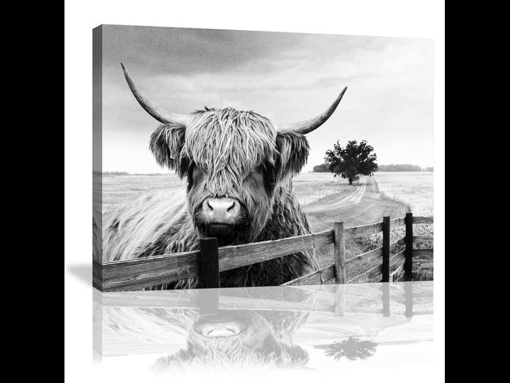 highland-cow-canvas-black-and-white-landscape-pasture-hairy-cow-animal-wall-art-pictures-canvas-wall-1