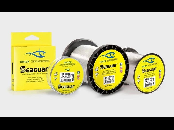 seaguar-invizx-fluorocarbon-line-17lb-601