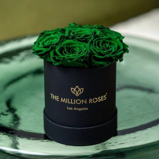 basic-black-box-dark-green-roses-6-7-roses-the-million-roses-luxury-preserved-roses-flower-delivery-1