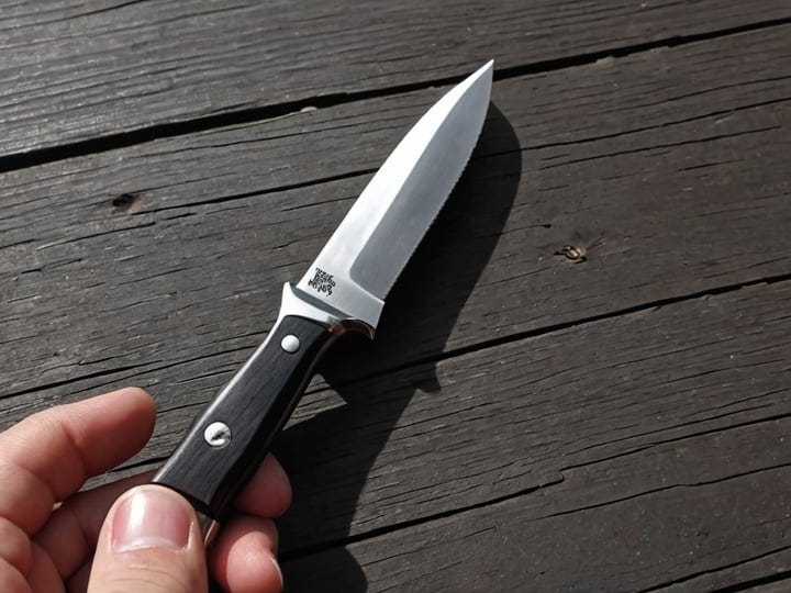 Small-Fixed-Blade-Knife-4