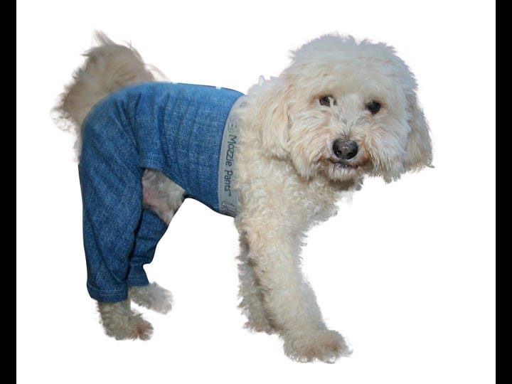 mozzie-pants-xlwpblue-walking-dog-pants-x-large-1