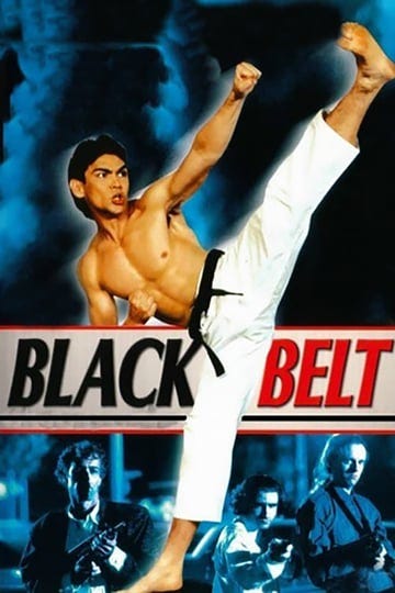 blackbelt-4341209-1