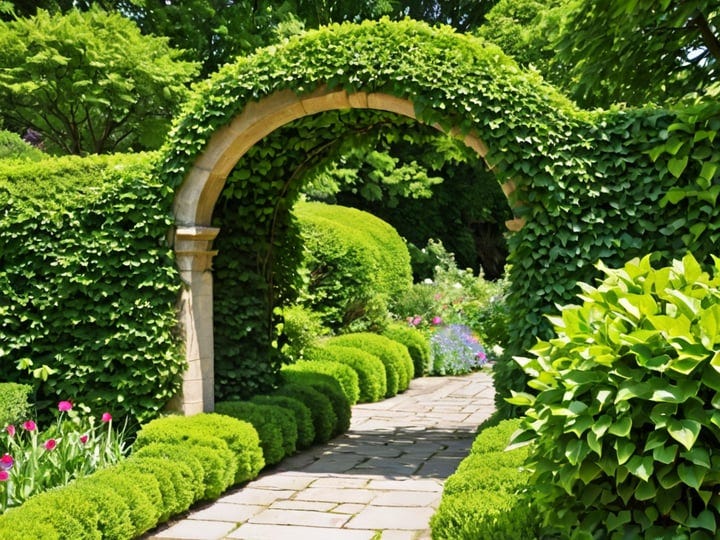 Garden-Arch-6