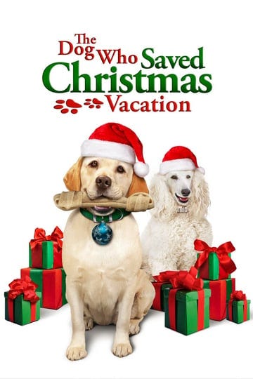 the-dog-who-saved-christmas-vacation-710563-1