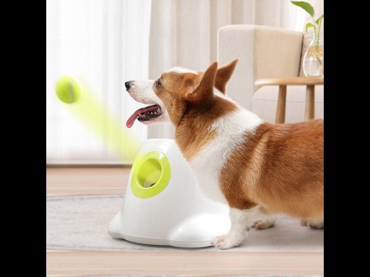 automatic-throwing-dog-tennis-ball-launcher-bestbuddy-1