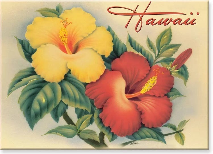 hawaiian-art-collectible-refrigerator-magnet-hawaiian-hibiscus-1