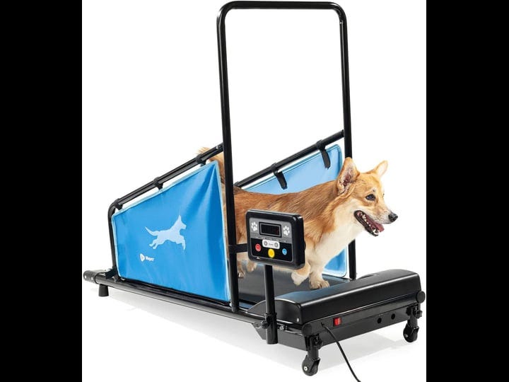lifepro-dog-treadmill-small-dogs-dog-treadmill-for-medium-dogs-dog-pacer-treadmill-for-healthy-fit-p-1