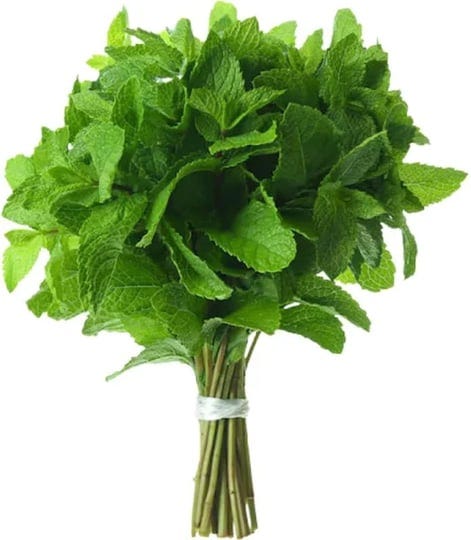 rani-fresh-mint-pudina-leaves-1-5oz-2oz-pack-of-1-all-natural-vegan-gluten-friendly-non-gmo-product--1