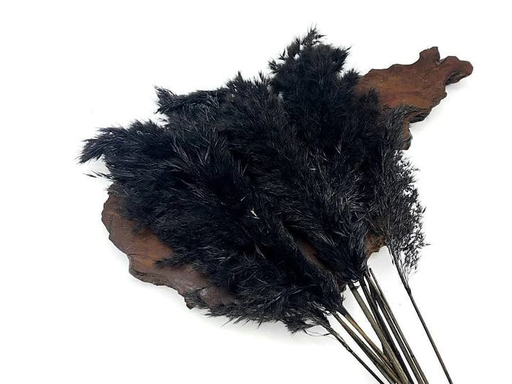 5-pieces-18-20-dyed-black-preserved-dried-plume-pampas-reed-grass-1
