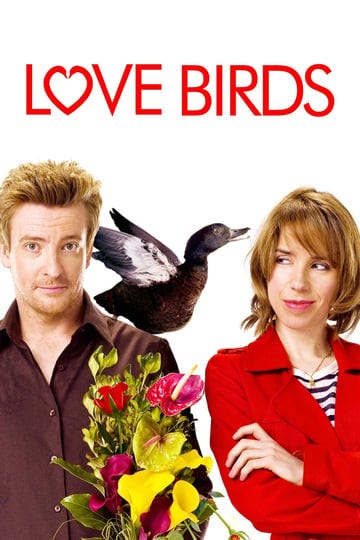 love-birds-1020185-1