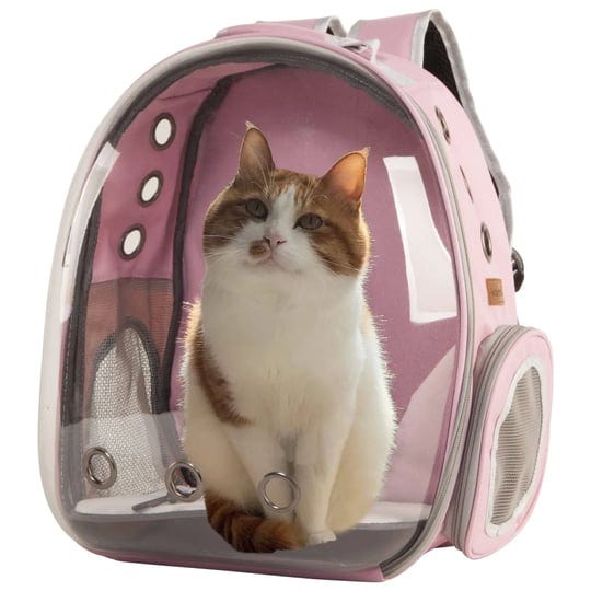 xzking-cat-backpack-carriers-pet-bubble-backpack-airline-approved-ventilate-transparent-space-capsul-1