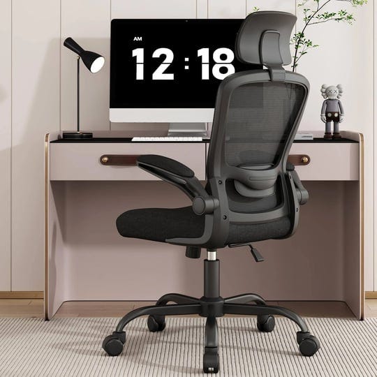 home-office-chair-ergonomic-desk-chair-with-adjustable-lumbar-support-high-back-computer-chair-adjus-1