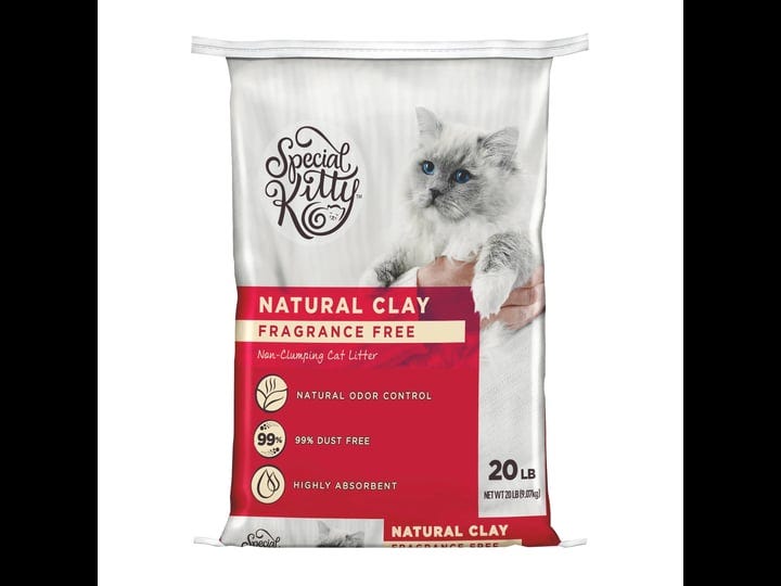 special-kitty-fragrance-free-non-clumping-natural-clay-litter-20-lb-1