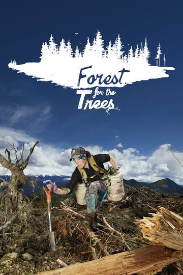 forest-for-the-trees-4947295-1