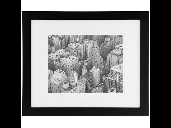 gallery-solutions-16x20-black-frame-matted-to-11x14-1