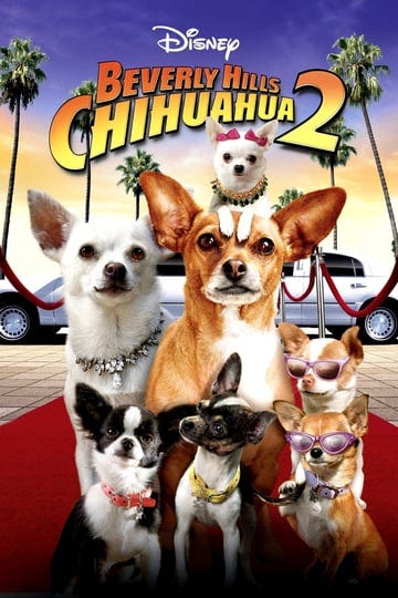 beverly-hills-chihuahua-2-740491-1