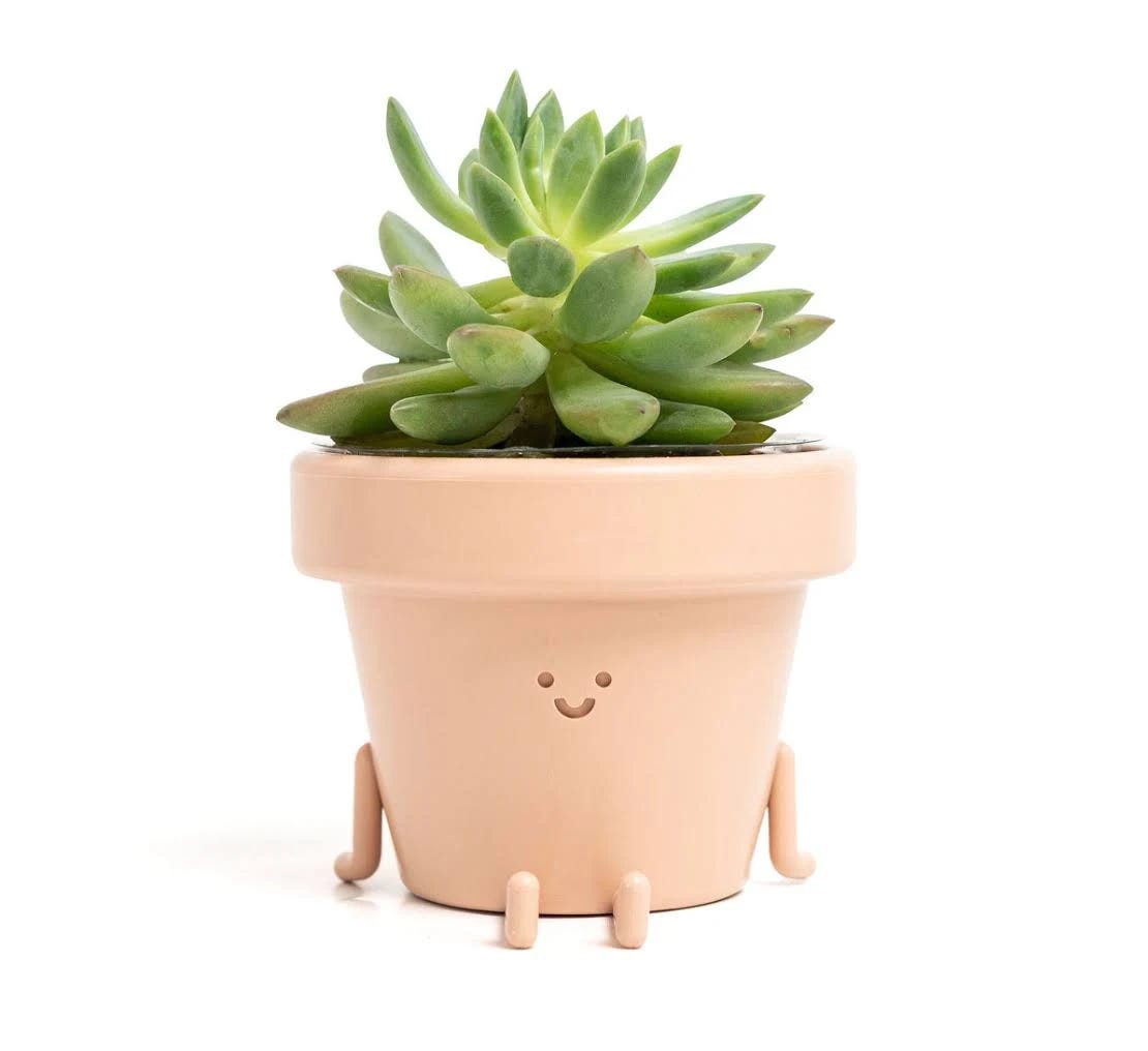 Cute Novelty Face Planters - Earthling Indoor Succulent Pots | Image