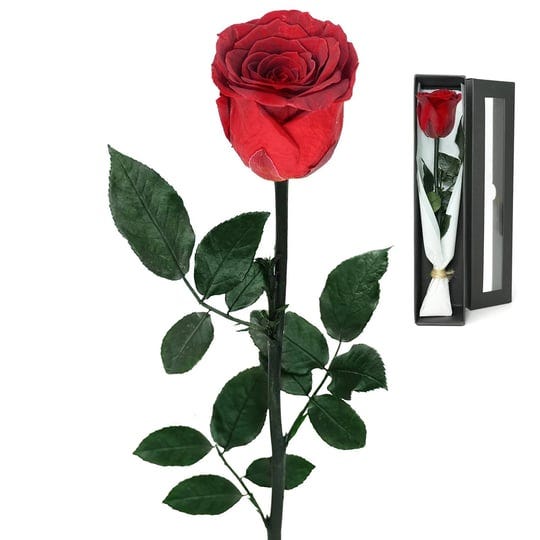 yfys-forever-rose-real-fresh-flower-preserved-flowers-eternal-roses-single-red-rose-gift-used-for-mo-1