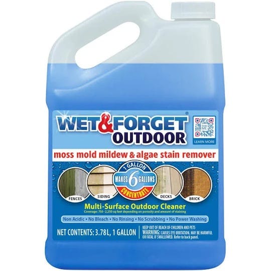 wet-forget-outdoor-cleaner-concentrate-1-gal-800129