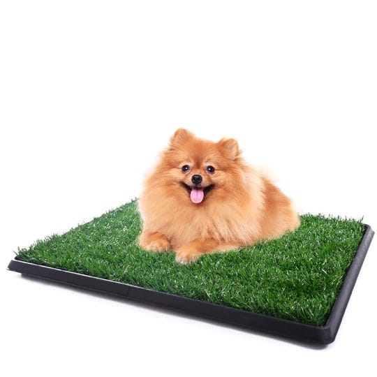 coziwow-2520-dog-potty-training-grass-pad-for-apartments-1