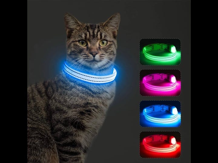 dolitego-light-up-dog-collars-reflective-led-dog-collar-rechargeable-puppy-collar-lighted-cat-collar-1