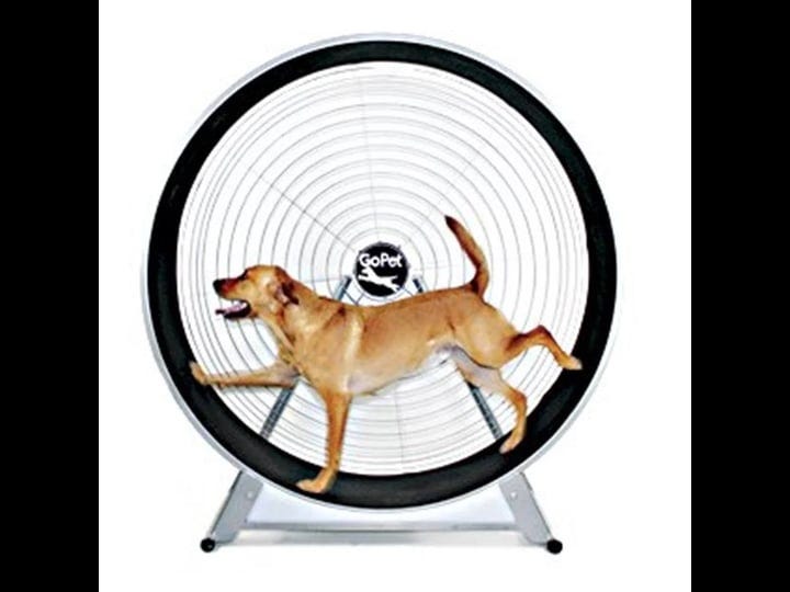 gopet-treadwheel-for-dogs-large-1