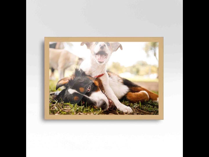 custompictureframes-com-24x18-frame-beige-real-wood-picture-frame-width-0-75-inches-interior-frame-d-1