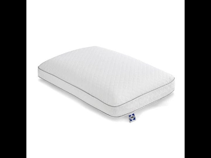 sealy-essentials-memory-foam-bed-pillow-for-pressure-relief-1