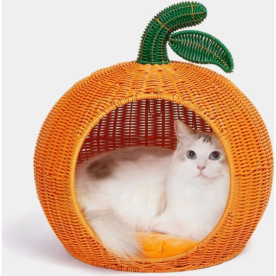 vetreska-tangerine-rattan-pet-bed-1