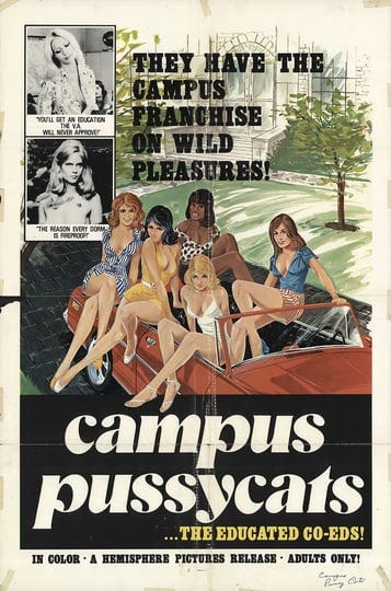 campus-pussycats-4676411-1