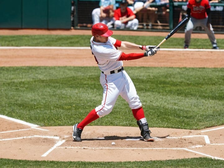 Fungo-Bat-5