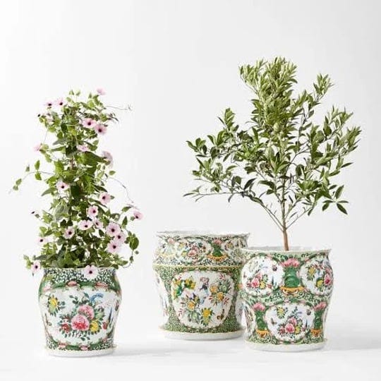 famille-rose-planter-collection-set-of-3-williams-sonoma-1