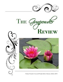 the-gunpowder-review-2010-3410885-1
