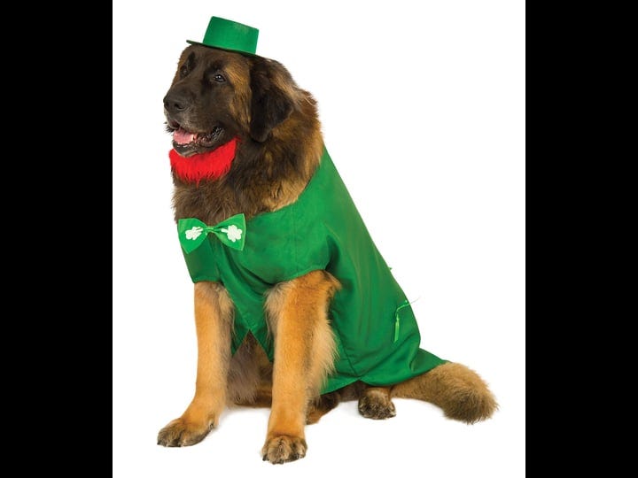 big-dog-leprechaun-costume-1