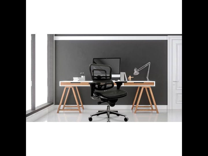 eurotech-ergohuman-mid-back-chair-me8erglon-black-mesh-1