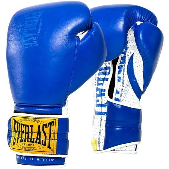 everlast-1910-boxing-gloves-size-16-oz-blue-1