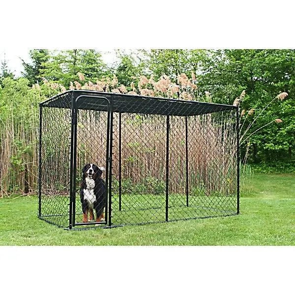 6 ft. Black Powder-Coated Chain Link Dog Kennel Kit | Image