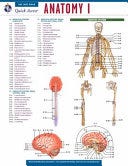 PDF Anatomy 1 - REA's Quick Access Reference Chart (Quick Access Reference Charts) By Editors of REA