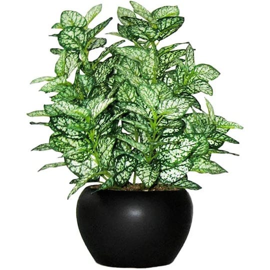 at-home-potted-greenery-10-plant-1