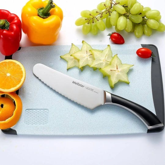 wellstar-sandwich-knife-6-5-inch-german-stainless-steel-serrated-utility-knife-for-bread-vegetable-m-1