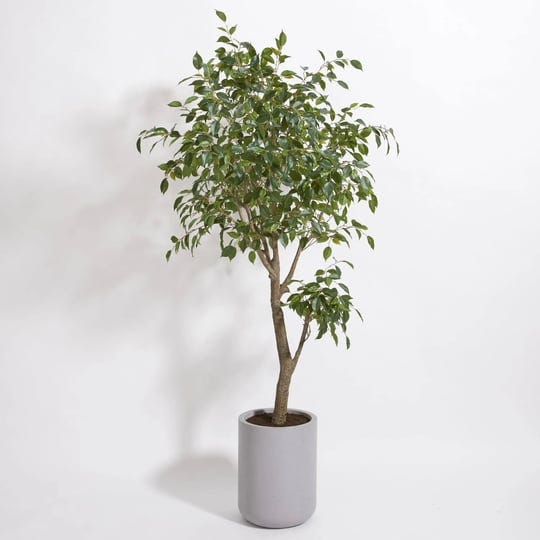 premium-faux-ficus-tree-w-pot-cg-hunter-luxury-faux-plants-1
