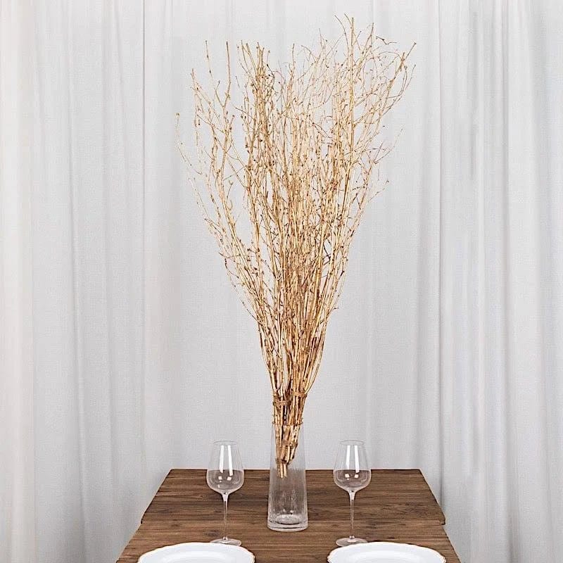 Birch Tree Branch Vase Fillers - 6 Extra Long Decorative Accessories | Image