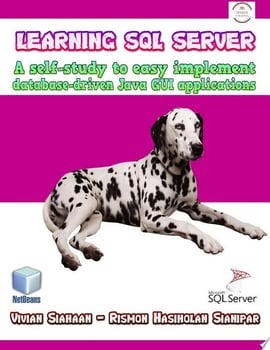 learning-sql-server-102545-1