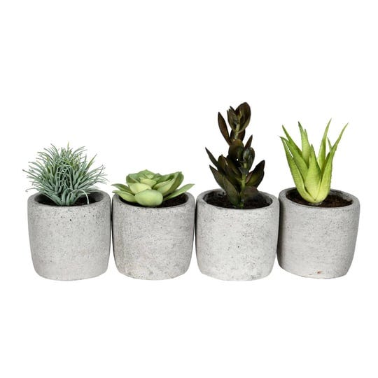 vickerman-6-assorted-potted-succulents-4-pk-green-1