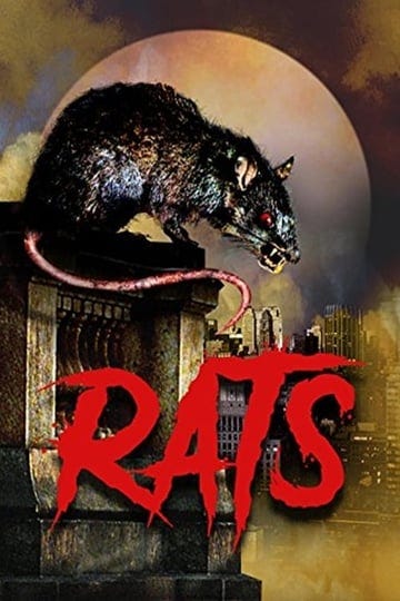 killer-rats-1303800-1