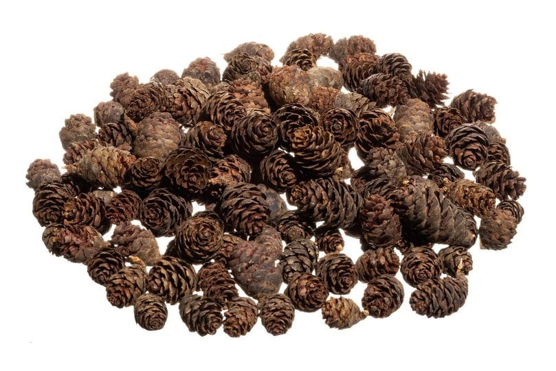 pine-cones-small-pine-cones-mini-black-spruce-pine-cones-pine-cone-filler-240ml-1