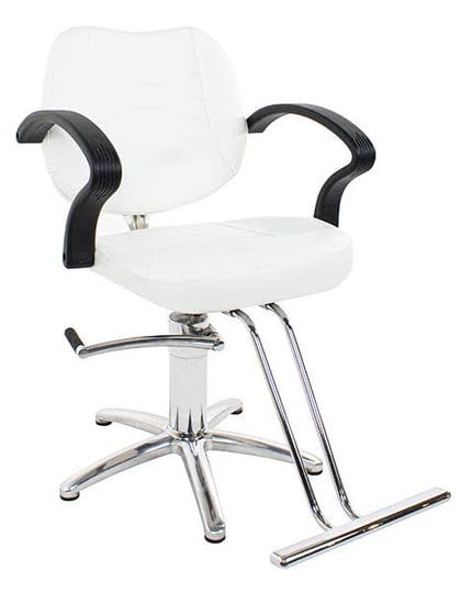 roman-salon-styling-chair-spa-and-equipment-1