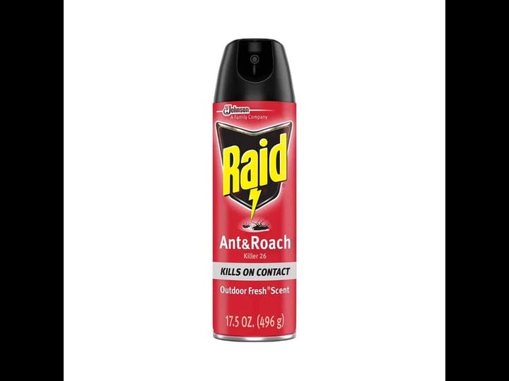 raid-ant-and-roach-killer-17-5oz-aerosol-outdoor-fresh-1